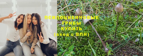 гидропоника Кулебаки
