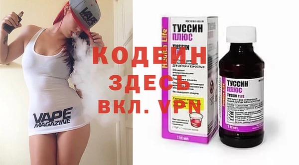 молекула духа Ладушкин