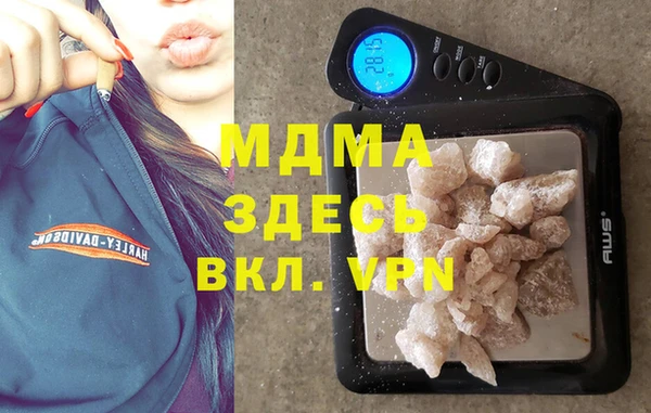 молекула духа Ладушкин
