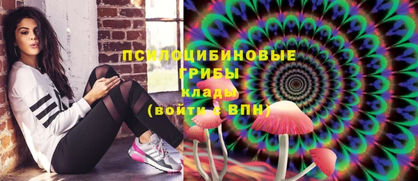 молекула духа Ладушкин