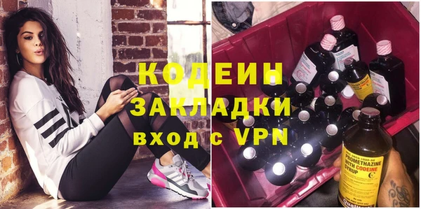 молекула духа Ладушкин