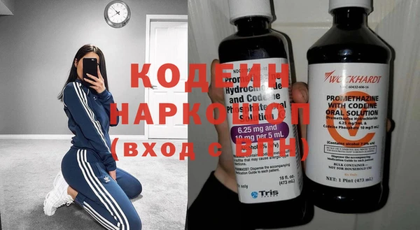 крисы Магас