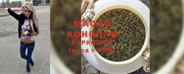 молекула духа Ладушкин