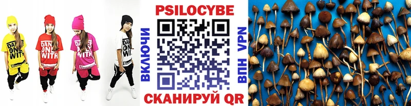 Галлюциногенные грибы Psilocybine cubensis  Красноуральск 